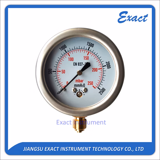 Boîtier en acier inoxydable de 63 mm