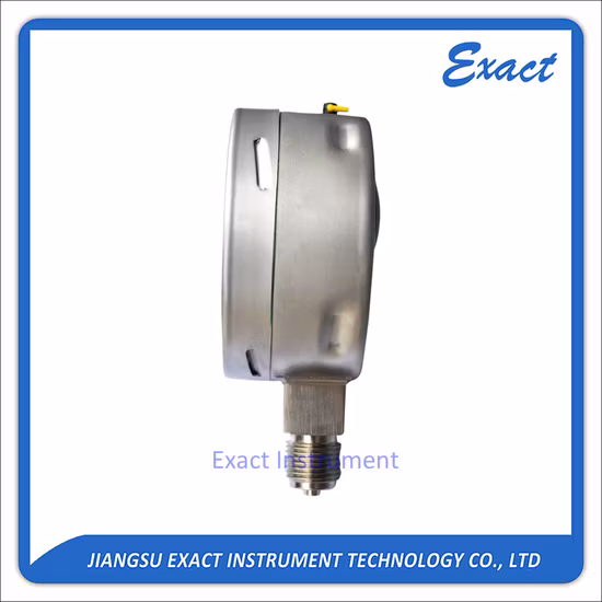 Type DIN manomètre industriel 6